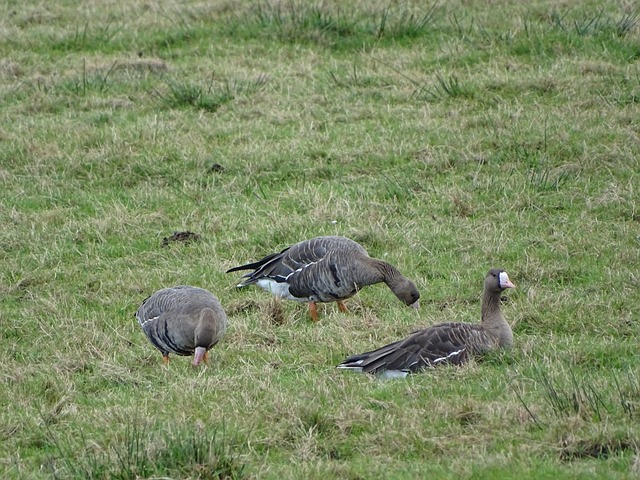 并在建造过 并在建造过